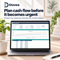 Dovea Cash Flow and Tax Reserve Planner dashboard on a laptop